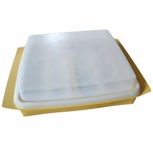 Vintage Tupperware Deviled Egg Keeper Carrier Tray Container 723